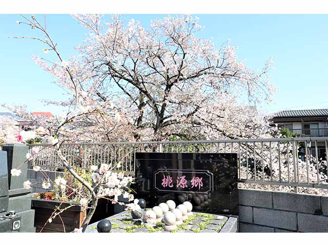 樹木式永代供養墓 桃源郷