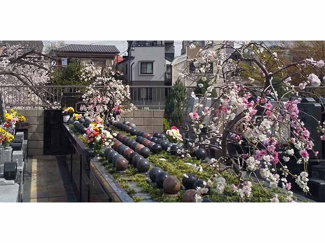 樹木式永代供養墓 桃源郷